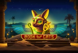 Book Of Cats slot at Casiny Casino